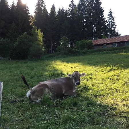 Ferienappartment Steibis Apartman